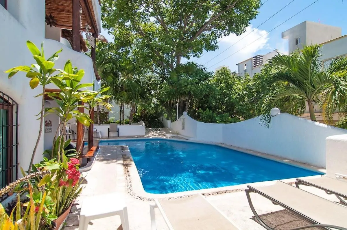 Charming, Gated With Pool, Fast Wifi And Silent Apartment Playa del Carmen Mexico